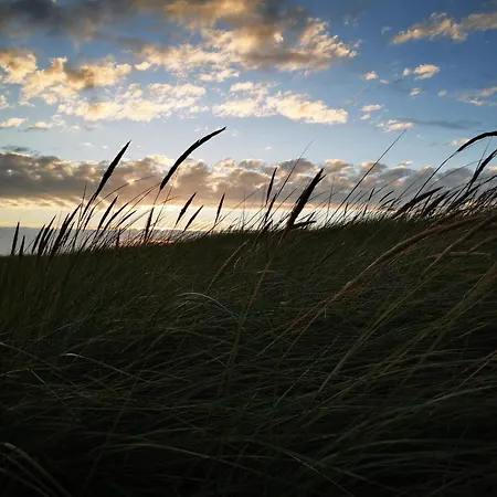 6 Person In Tatil Evi *