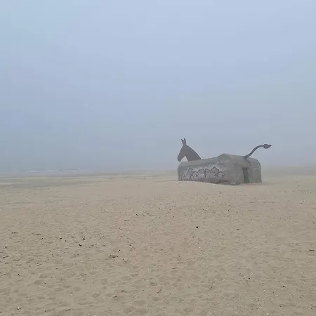 6 Person In Tatil Evi *