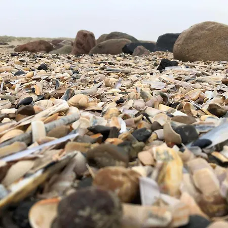 Tatil Evi 6 Person In