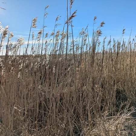 6 Person In Tatil Evi *